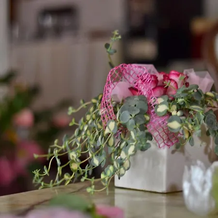 Bolognese Bellevue 2* Риччоне