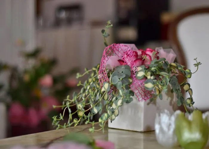 Bolognese Bellevue 2* Riccione