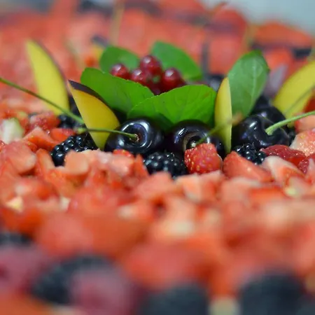 Hotel Bolognese Bellevue 2*