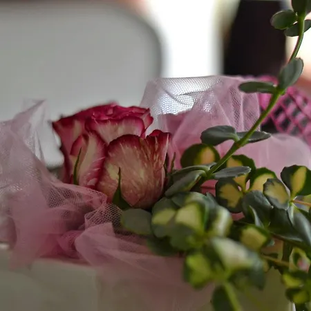 Bolognese Bellevue 2* Ριτσιόνε