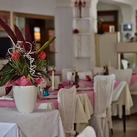 Hotel Bolognese Bellevue 2*