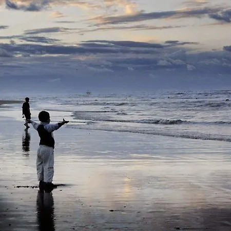 Bolognese Bellevue 2* Riccione