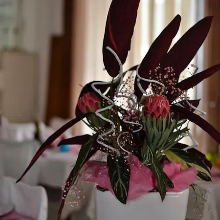 Bolognese Bellevue 2* Riccione