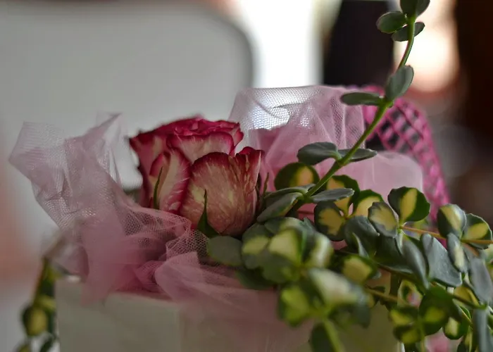 Bolognese Bellevue 2* Riccione