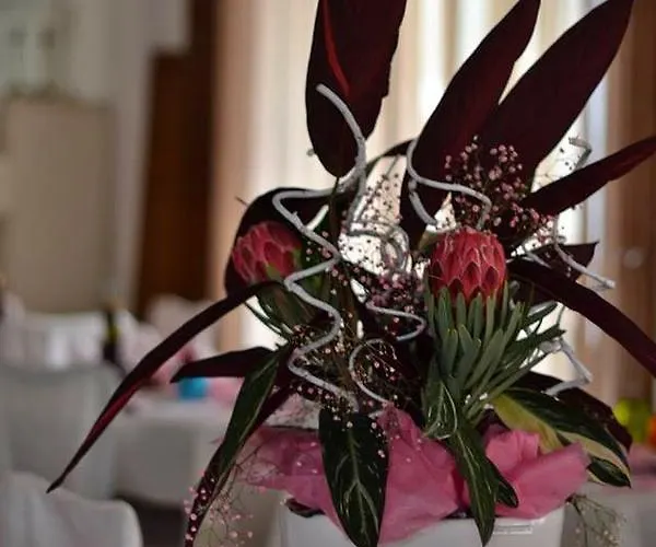 Bolognese Bellevue 2* Riccione